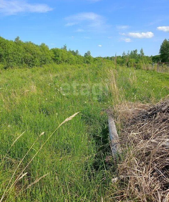 земля р-н Хабаровский с Гаровка-1 фото 5