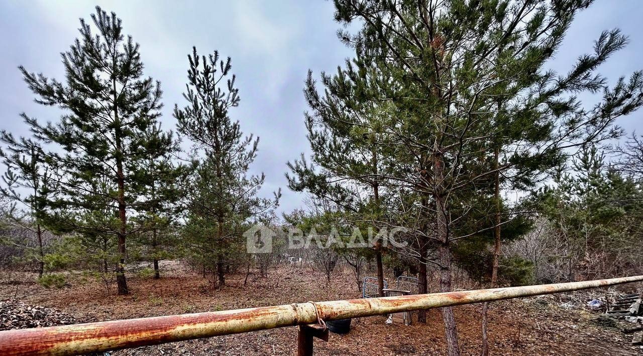 дом р-н Белгородский с Головино снт Феддеровское с пос, ДНТ, Головинское фото 11