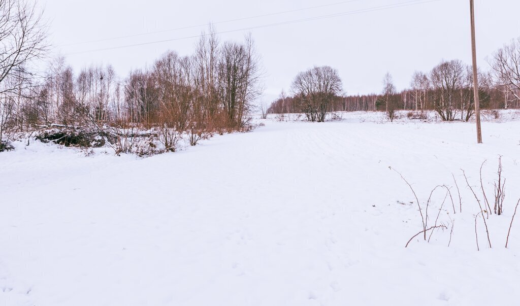 дом р-н Бабынинский д Вислово сельское поселение село Бабынино фото 22