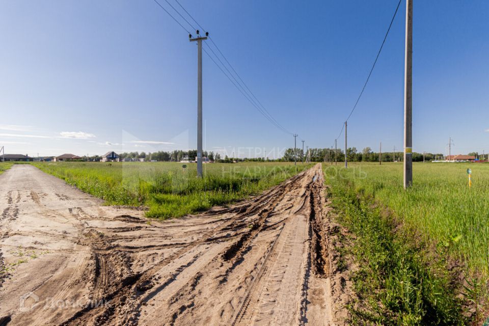 земля р-н Тюменский село Червишево фото 5