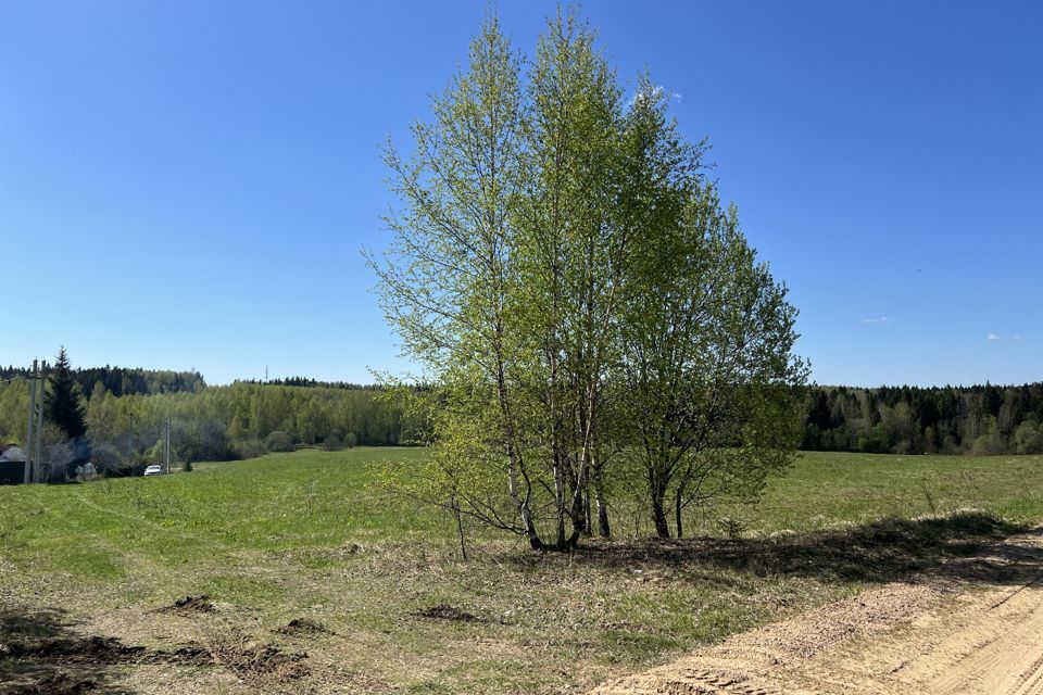 земля городской округ Дмитровский фото 9