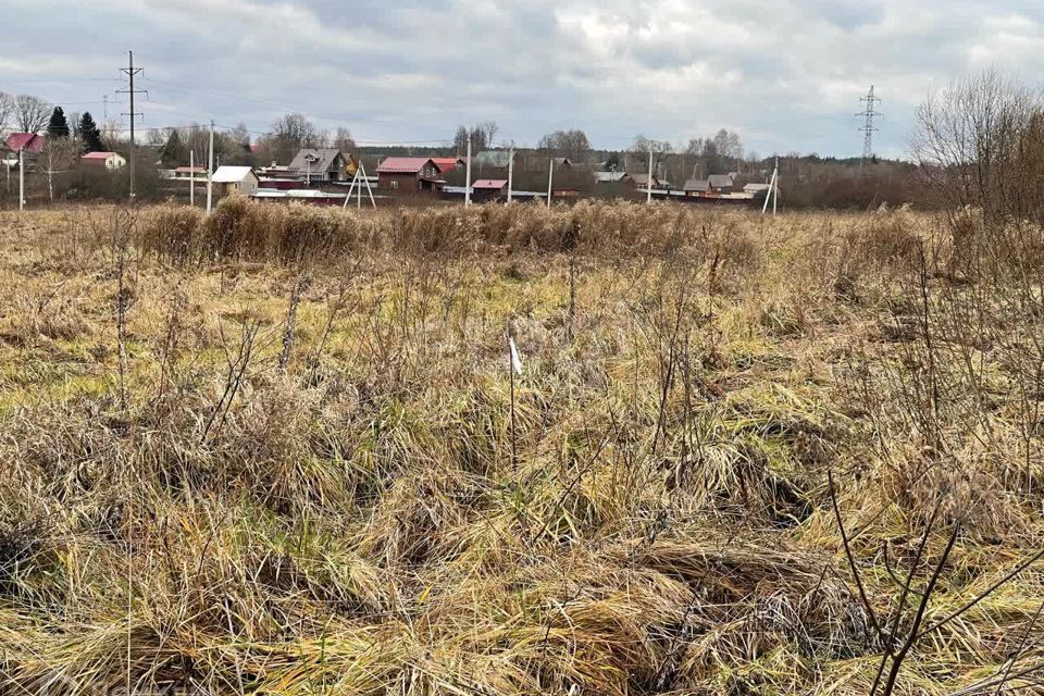 земля городской округ Талдомский с. Новогуслево фото 8