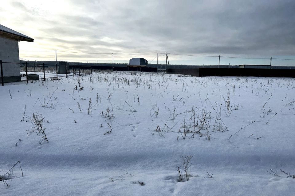 земля городской округ Домодедово д. Минаево фото 6