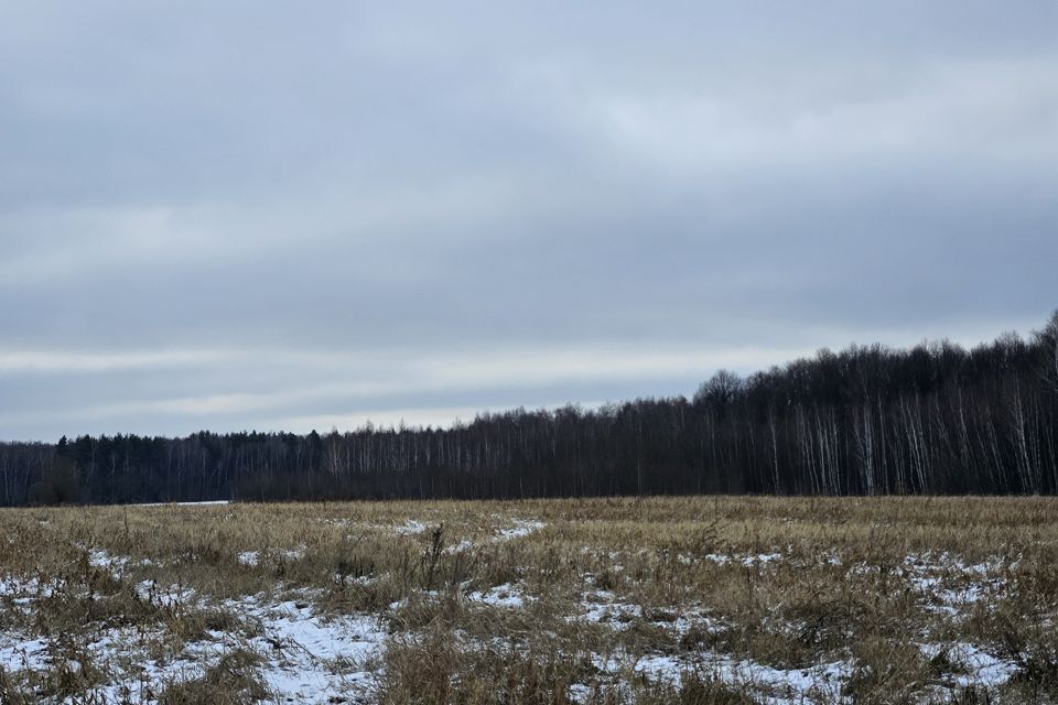 земля городской округ Домодедово д. Красино фото 10