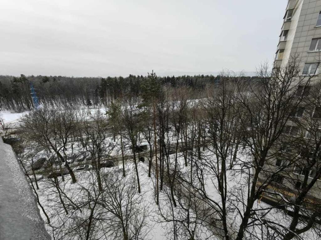 квартира городской округ Раменский с Зюзино Балаклавский проспект, 38, Москва фото 11