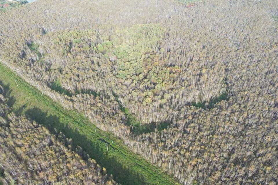 земля р-н Нижнетавдинский снт Сундукуль ул Малиновая фото 4