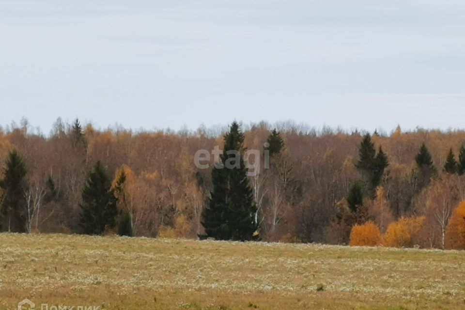 земля р-н Медынский Хорошая фото 3