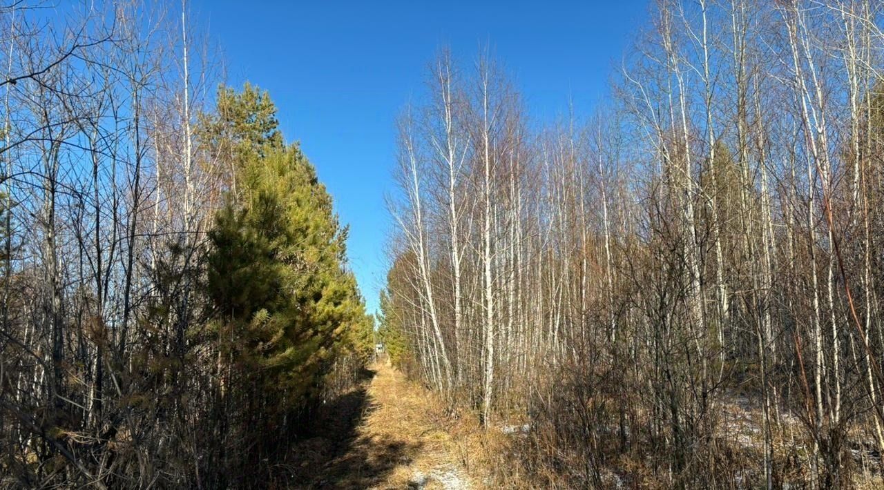 земля р-н Иркутский снт СК Незабудка фото 7