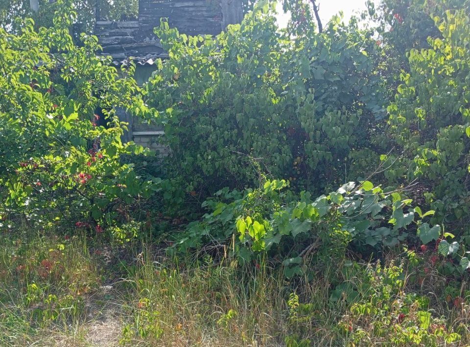 земля г Воронеж р-н Левобережный снт Садовод ВАСО ул 3 121 фото 5