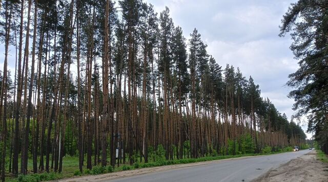 земля ул Березовая Горожанское с/пос фото