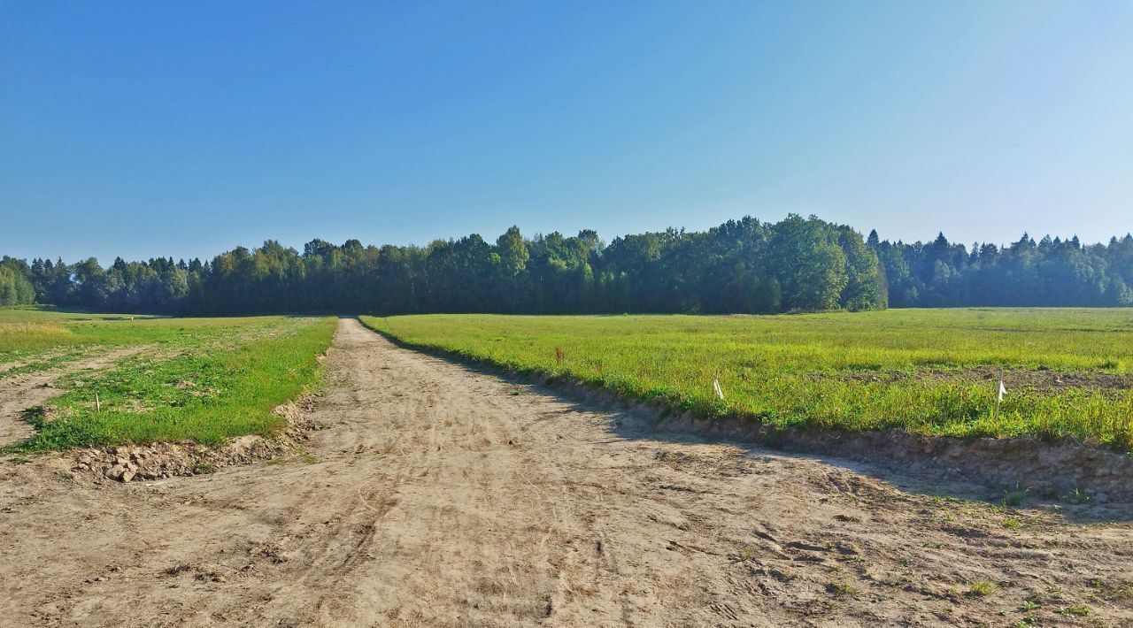 земля 194, Пушкинский городской округ, Калистово кп фото 12