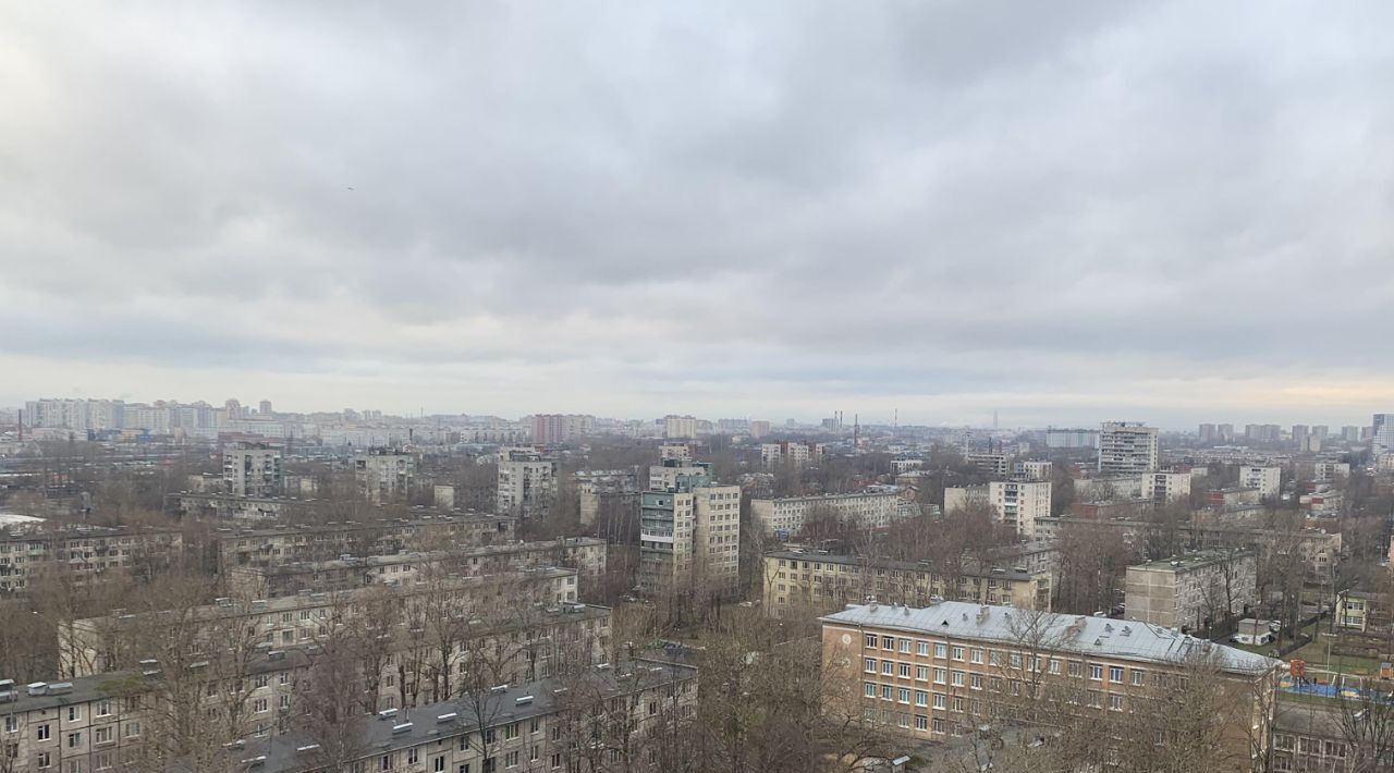 квартира г Санкт-Петербург метро Пролетарская Александровское пр-кт Александровской Фермы 8 ЖК «Green City» округ Обуховский фото 24