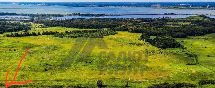 земля р-н Гурьевский п Голубево ул Южная фото 2