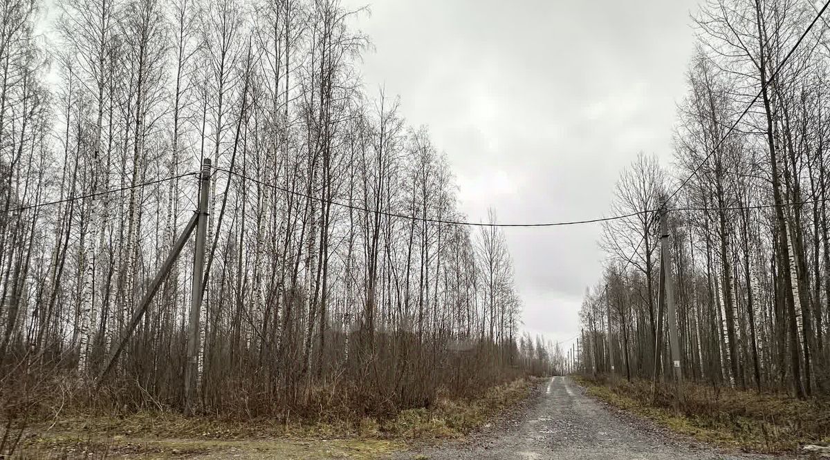 земля г Череповец р-н Зашекснинский ул Жемчужная фото 5