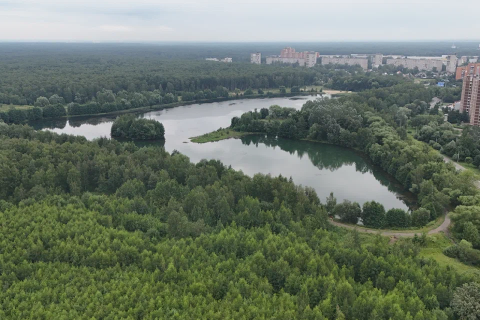 земля г Электросталь Электросталь городской округ, СНТ Полянка фото 1