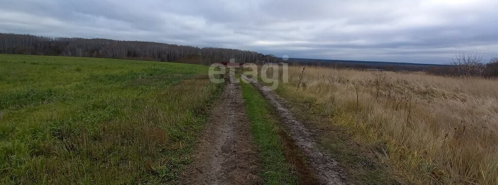 земля р-н Трубчевский д Василенки ул Овражная Юровское сельское поселение фото 24