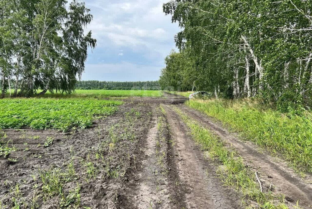 земля р-н Омский д Зеленовка ул Центральная фото 10