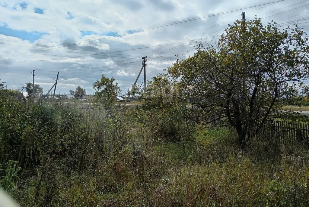 дом р-н Марьяновский д Голенки ул Дорожная фото 18