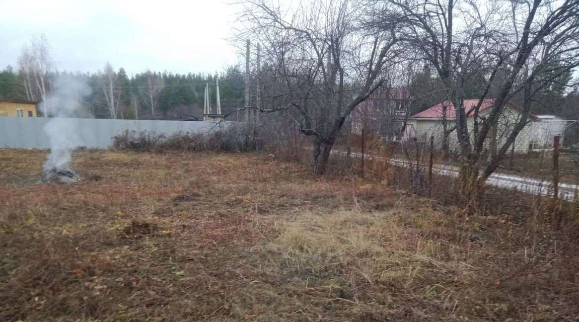земля г Воронеж р-н Железнодорожный снт Сувенир-2 ул Виноградная 90/82 фото 1