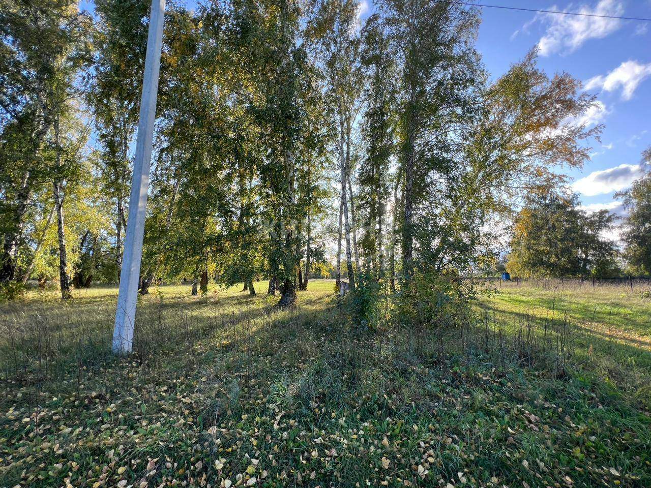 земля р-н Ордынский с Красный Яр ул Полевая Красноярский сельсовет фото 3