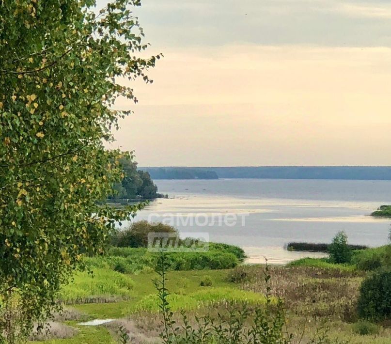 земля р-н Красносельский д Волчково Боровиковское с/пос, 12А фото 3