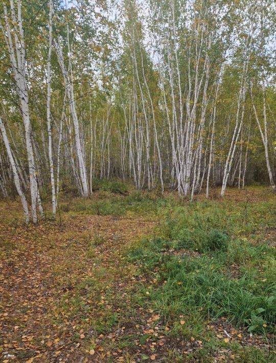 земля г Якутск тракт Вилюйский фото 2