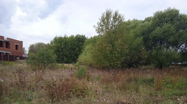 с Деулино Сергиево-Посадский городской округ фото