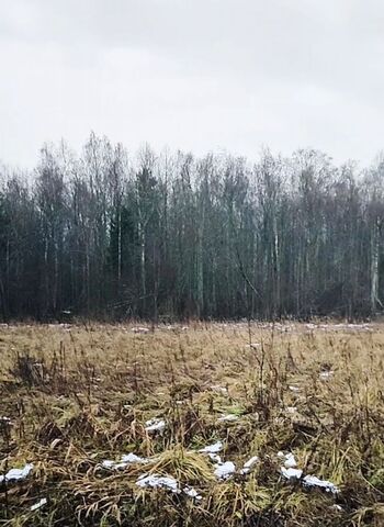 Лопухинское сельское поселение, ДНП Усадьба Воронино, Сосновый Бор фото