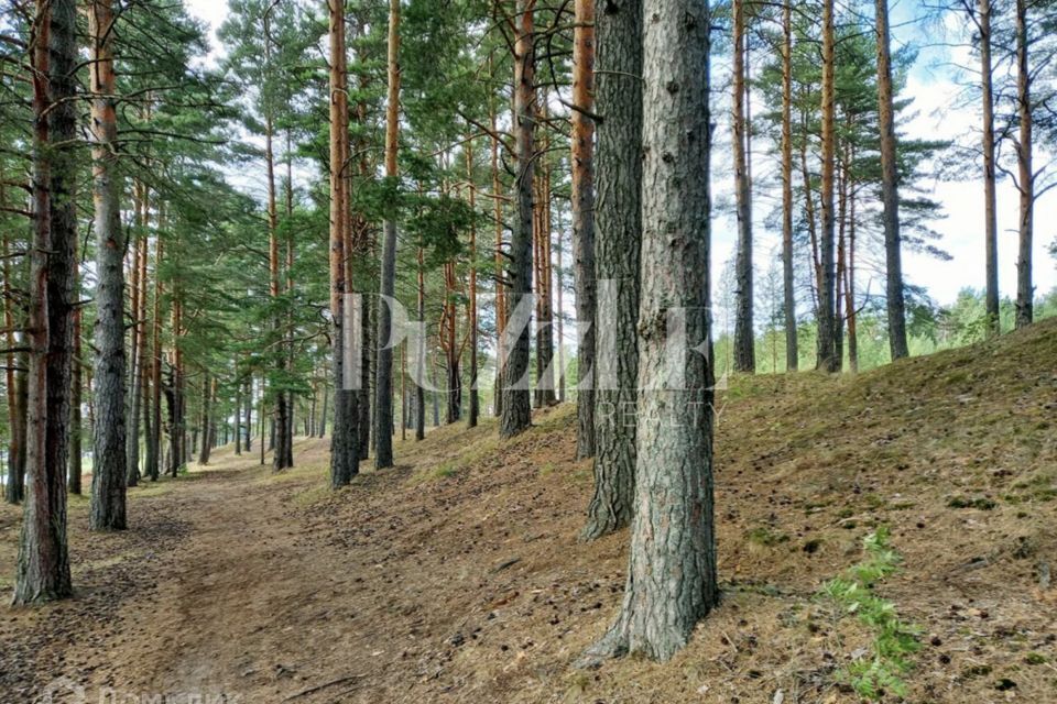 земля р-н Приозерский фото 3