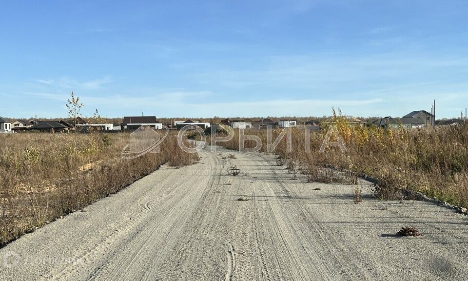 земля р-н Тюменский Луговое фото 3