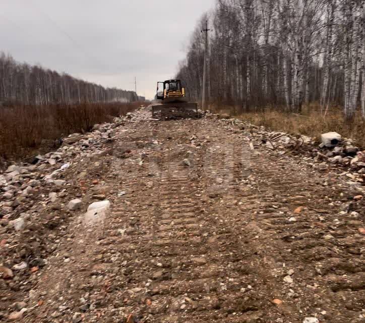 земля р-н Нижнетавдинский снт Сундукуль ул Малиновая фото 2