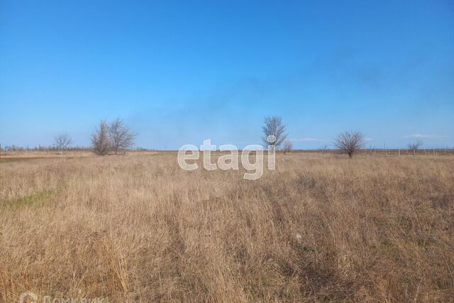 ул Таврическая фото