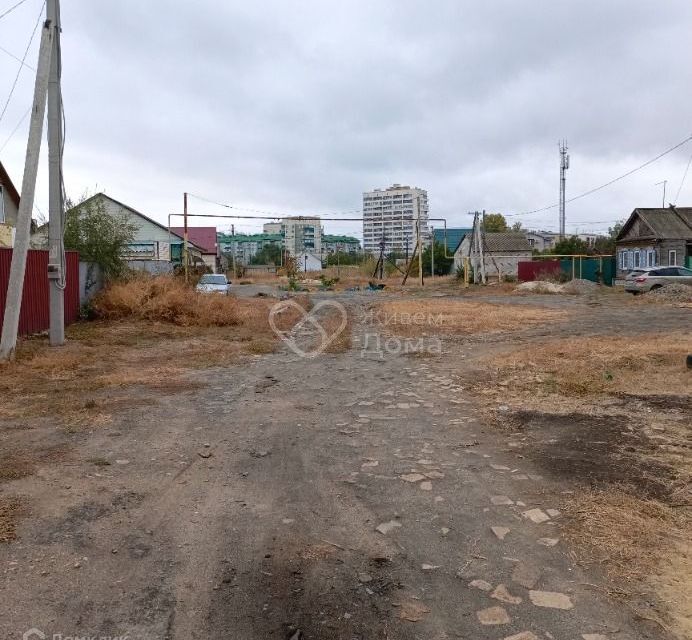 земля г Волгоград р-н Кировский городской округ Волгоград, Зоологическая фото 4