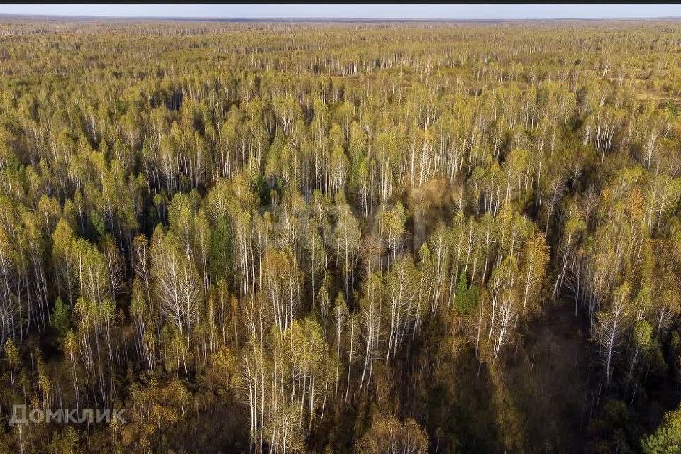 земля г Тюмень снт Светлое ул Садовая Тюмень городской округ фото 5