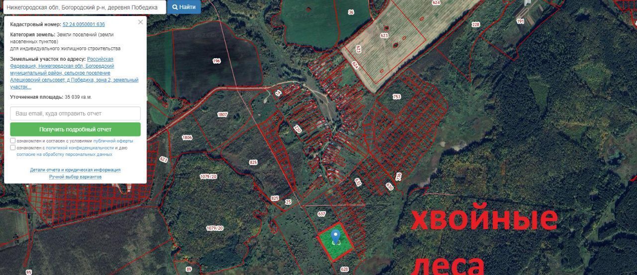 земля р-н Богородский д Победиха ул Лесная фото 4