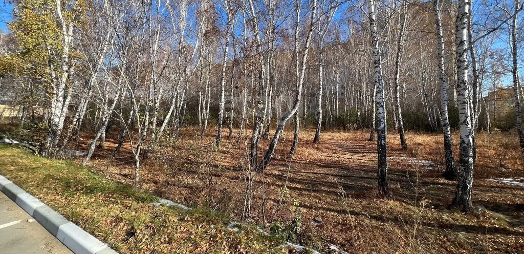 квартира г Омск ул Волгоградская 46 фото 14