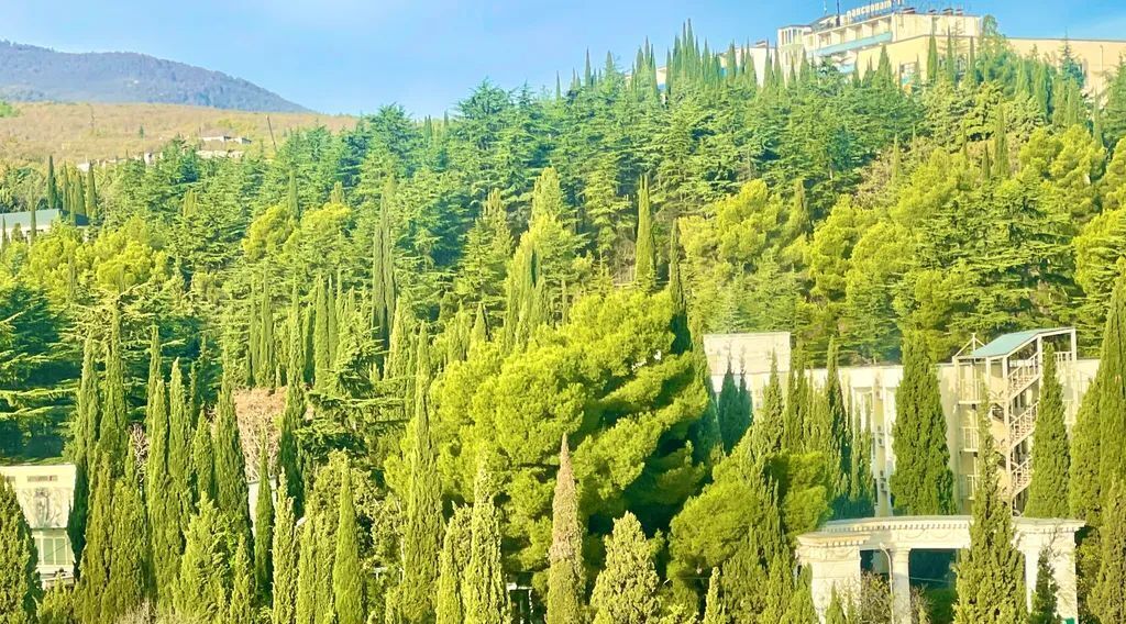 комната г Алушта ул Набережная 16 фото 13