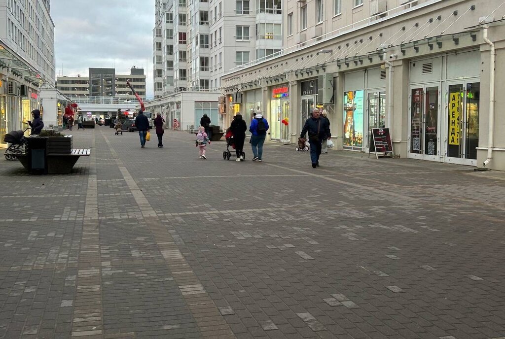 торговое помещение г Санкт-Петербург метро Проспект Просвещения наб Реки Каменки 7к/2 округ Коломяги фото 4