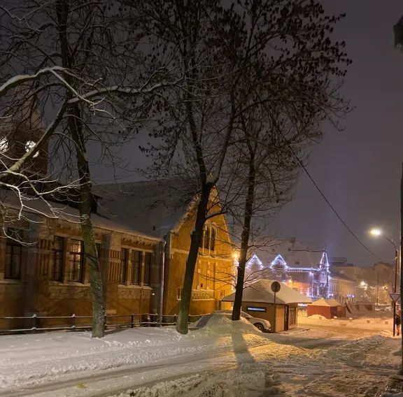 квартира г Выборг р-н Центральный ул Северный Вал 19 Выборгское городское поселение фото 12