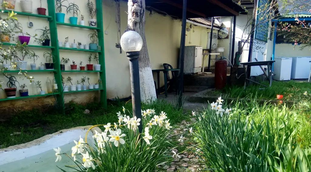 комната г Феодосия проезд 3-й Профсоюзный 20 фото 42