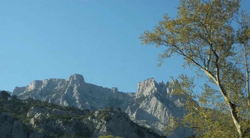комната г Ялта г Алупка ш Севастопольское 1а фото 23