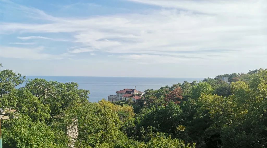 комната г Ялта пгт Гаспра ш. Алупкинское, 82А фото 6