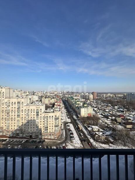 квартира г Липецк р-н Советский ул М.И. Неделина 3а фото 9