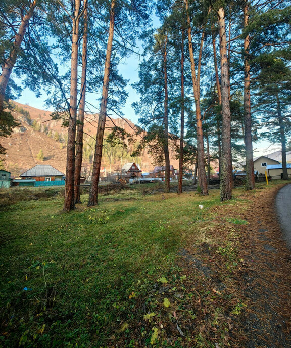 земля р-н Майминский с Манжерок пер Лесхозовский фото 12