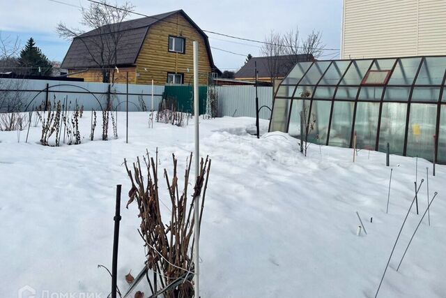 городской округ Тюмень, СО Дружба фото