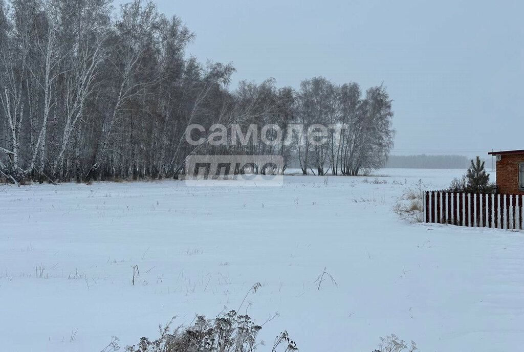 дом р-н Азовский немецкий национальный с Цветнополье ул Северная 130 фото 2