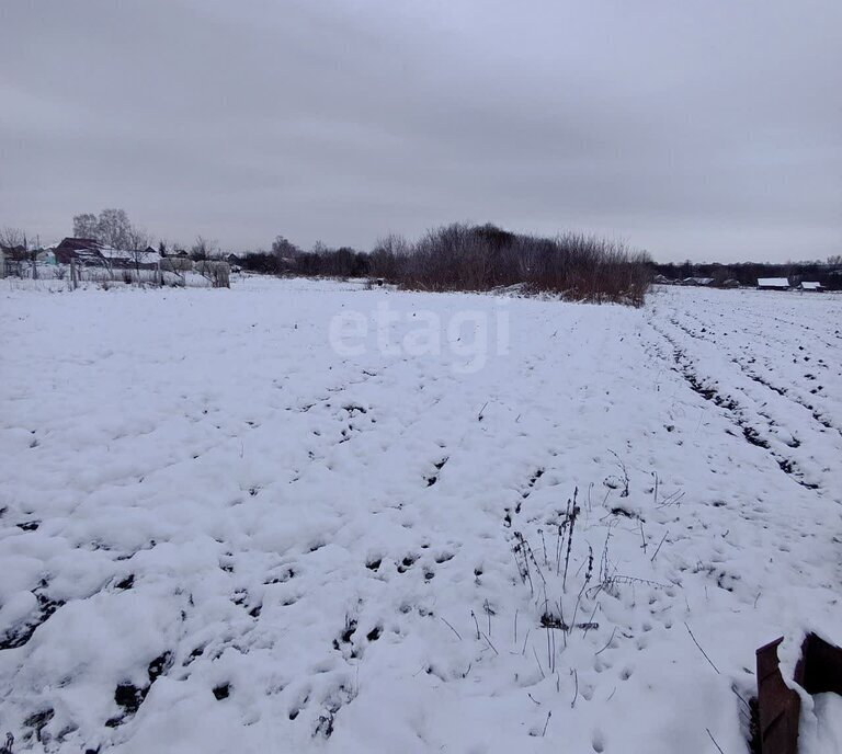 дом р-н Большеберезниковский д Дегилевка ул Луначарского фото 21