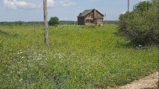 земля р-н Шимский д Голино Шимское городское поселение фото 4