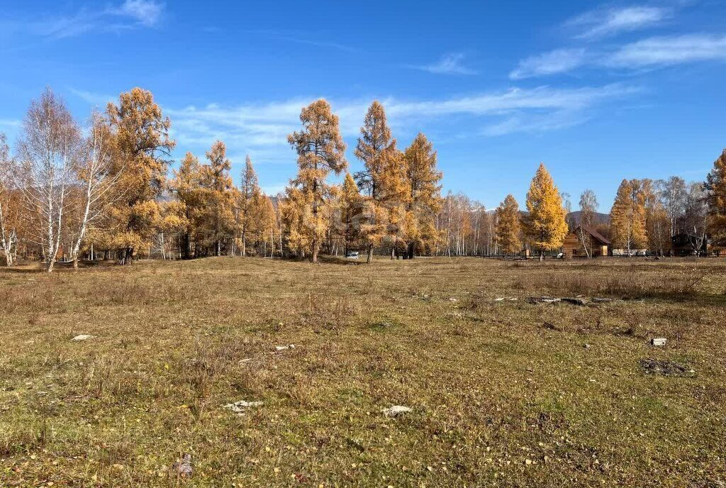 земля р-н Усть-Коксинский п Замульта фото 6