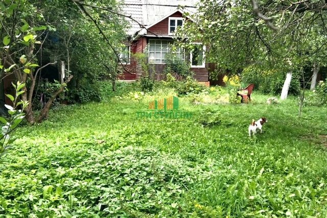 Королёв городской округ, м-н, Первомайский фото